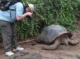Courtesy of Betty Sederquist Tortoise